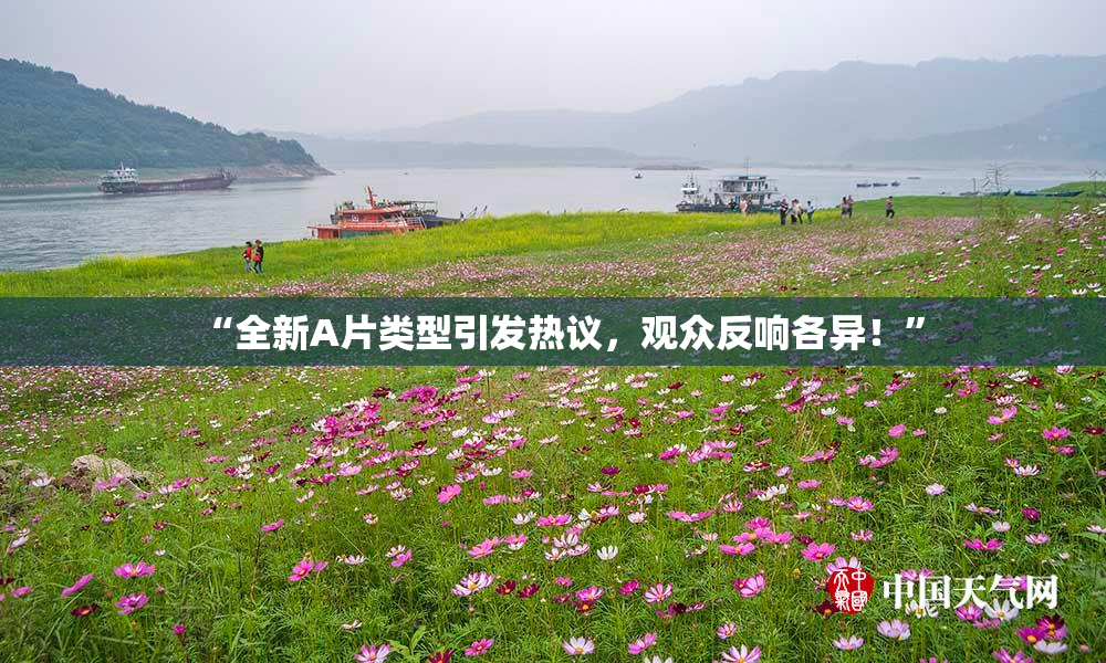 “全新A片类型引发热议，观众反响各异！”