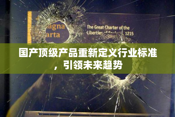 国产顶级产品重新定义行业标准，引领未来趋势