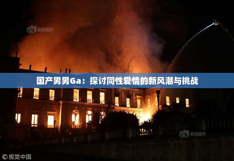 国产男男Ga：探讨同性爱情的新风潮与挑战