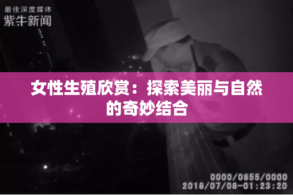 女性生殖欣赏：探索美丽与自然的奇妙结合