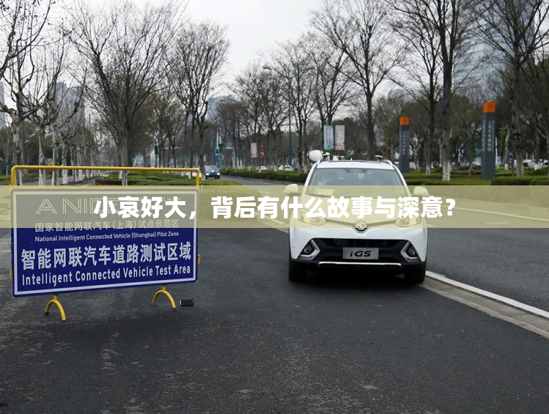 小哀好大，背后有什么故事与深意？