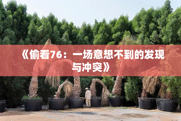 《偷看76：一场意想不到的发现与冲突》