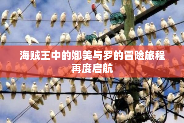 海贼王中的娜美与罗的冒险旅程再度启航