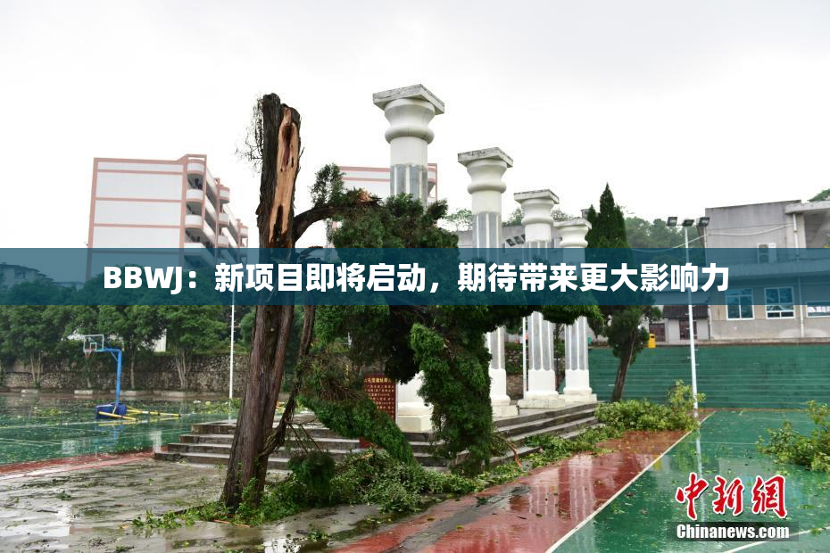 BBWJ：新项目即将启动，期待带来更大影响力