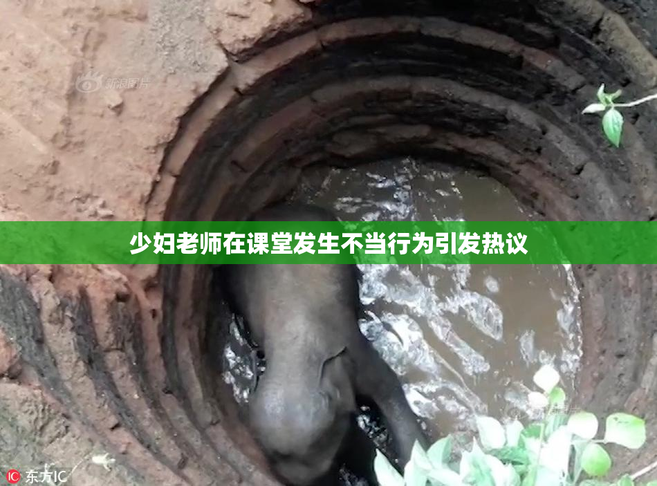 少妇老师在课堂发生不当行为引发热议