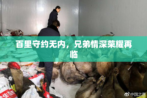 百里守约无内，兄弟情深荣耀再临