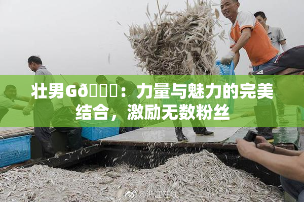 壮男G🈚：力量与魅力的完美结合，激励无数粉丝