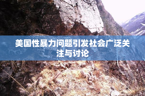 美国性暴力问题引发社会广泛关注与讨论