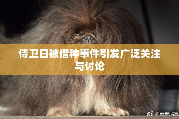 侍卫日被借种事件引发广泛关注与讨论