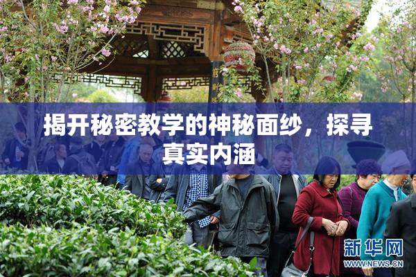 揭开秘密教学的神秘面纱，探寻真实内涵
