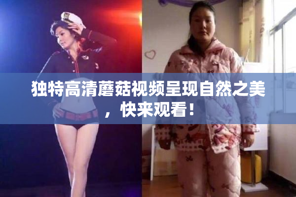 独特高清蘑菇视频呈现自然之美，快来观看！
