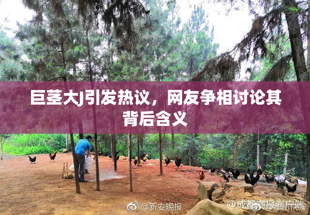 巨茎大J引发热议，网友争相讨论其背后含义
