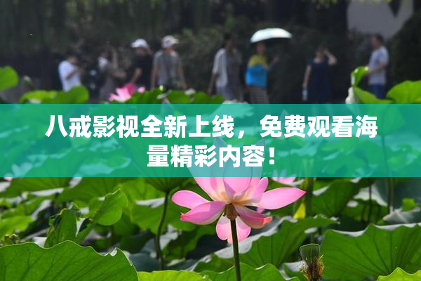 八戒影视全新上线，免费观看海量精彩内容！