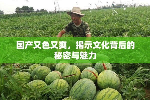 国产又色又爽，揭示文化背后的秘密与魅力