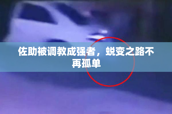 佐助被调教成强者，蜕变之路不再孤单