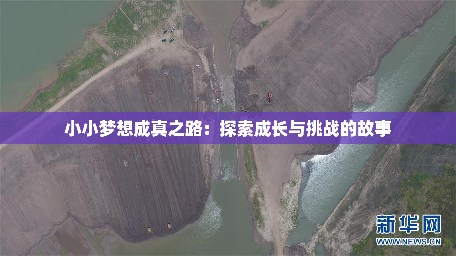 小小梦想成真之路：探索成长与挑战的故事