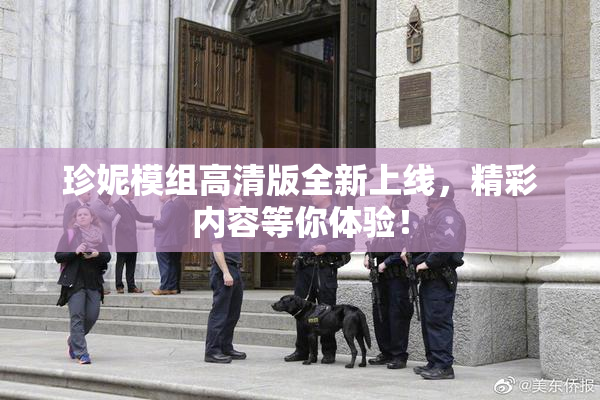 珍妮模组高清版全新上线，精彩内容等你体验！