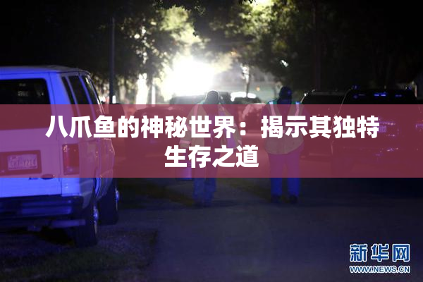 八爪鱼的神秘世界：揭示其独特生存之道