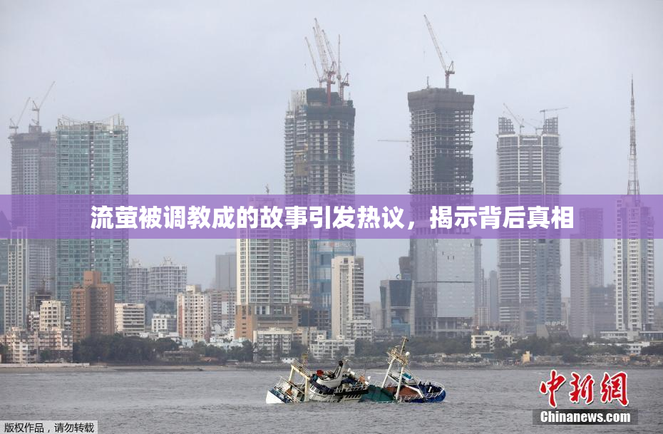 流萤被调教成的故事引发热议，揭示背后真相