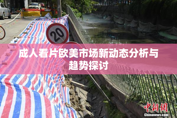 成人看片欧美市场新动态分析与趋势探讨