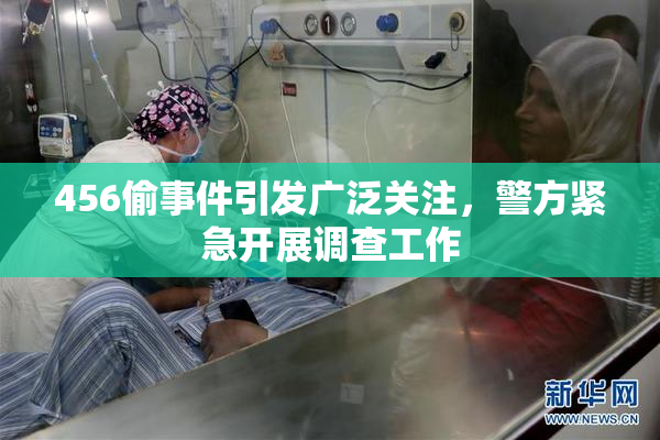 456偷事件引发广泛关注，警方紧急开展调查工作