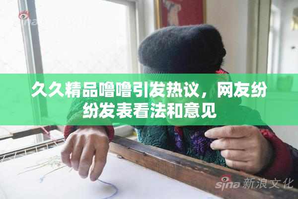 久久精品噜噜引发热议，网友纷纷发表看法和意见