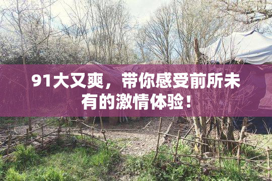 91大又爽，带你感受前所未有的激情体验！