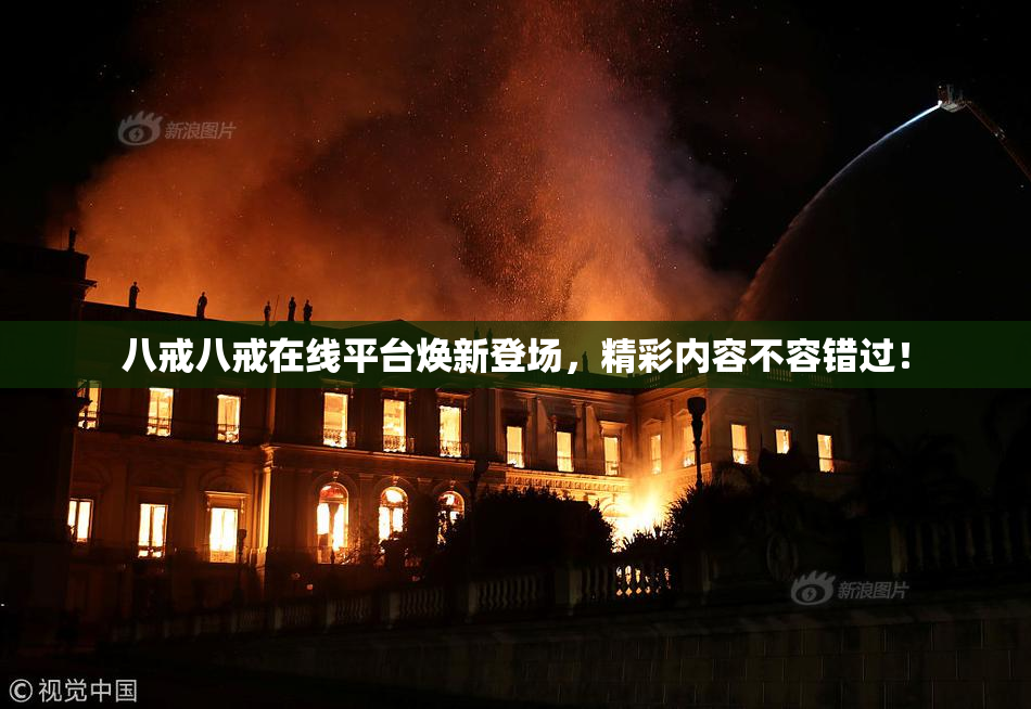 八戒八戒在线平台焕新登场，精彩内容不容错过！