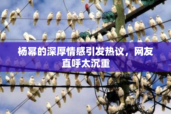 杨幂的深厚情感引发热议，网友直呼太沉重