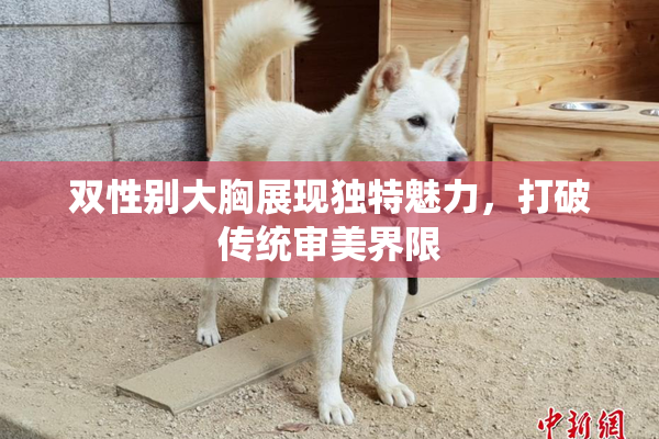 双性别大胸展现独特魅力，打破传统审美界限