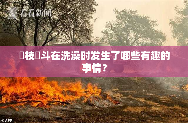 狛枝凪斗在洗澡时发生了哪些有趣的事情？
