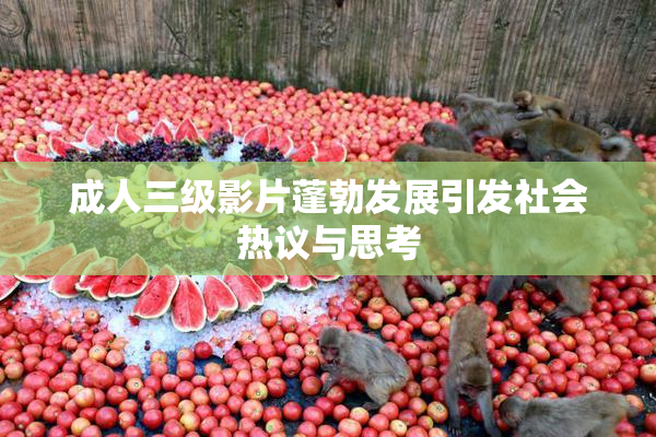 成人三级影片蓬勃发展引发社会热议与思考