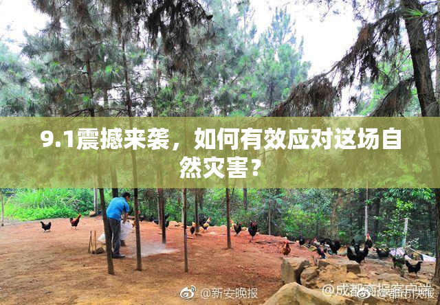 9.1震撼来袭，如何有效应对这场自然灾害？