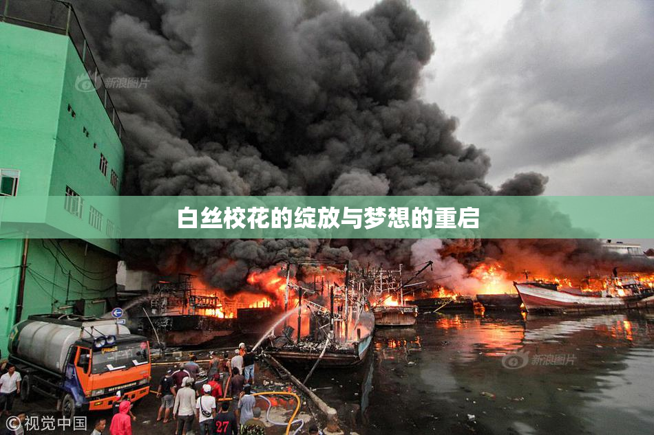 白丝校花的绽放与梦想的重启