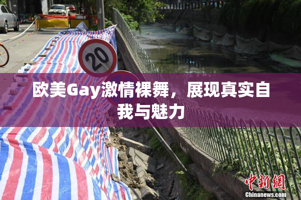 欧美Gay激情裸舞，展现真实自我与魅力