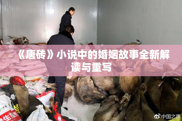 《唐砖》小说中的婚姻故事全新解读与重写
