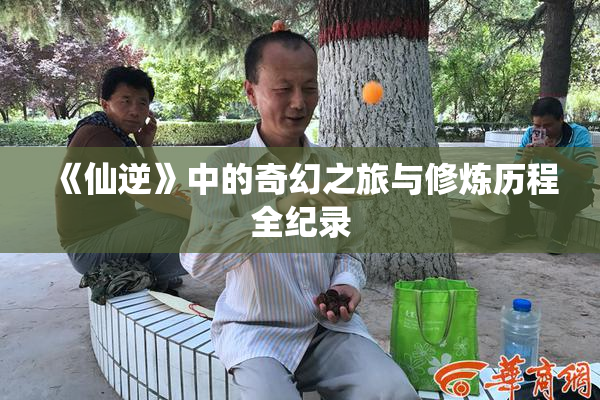 《仙逆》中的奇幻之旅与修炼历程全纪录