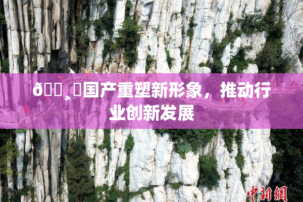 🌸‌国产重塑新形象，推动行业创新发展