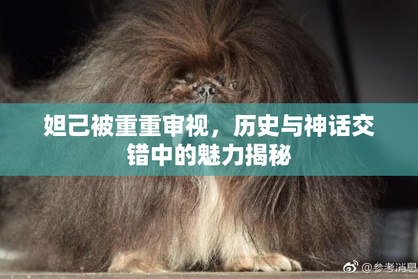 妲己被重重审视，历史与神话交错中的魅力揭秘