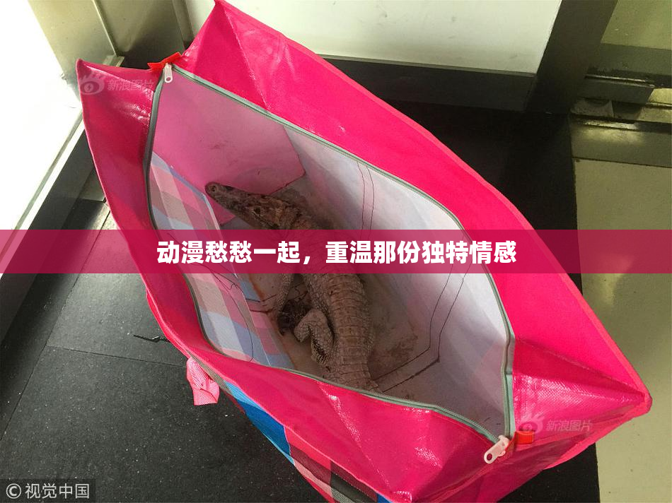 动漫愁愁一起，重温那份独特情感