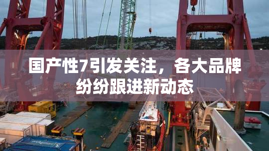 国产性7引发关注，各大品牌纷纷跟进新动态