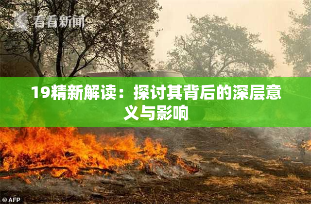 19精新解读：探讨其背后的深层意义与影响