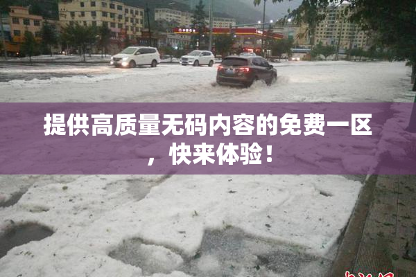 提供高质量无码内容的免费一区，快来体验！