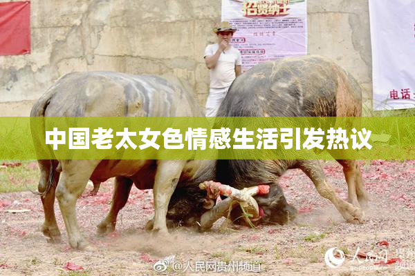 中国老太女色情感生活引发热议