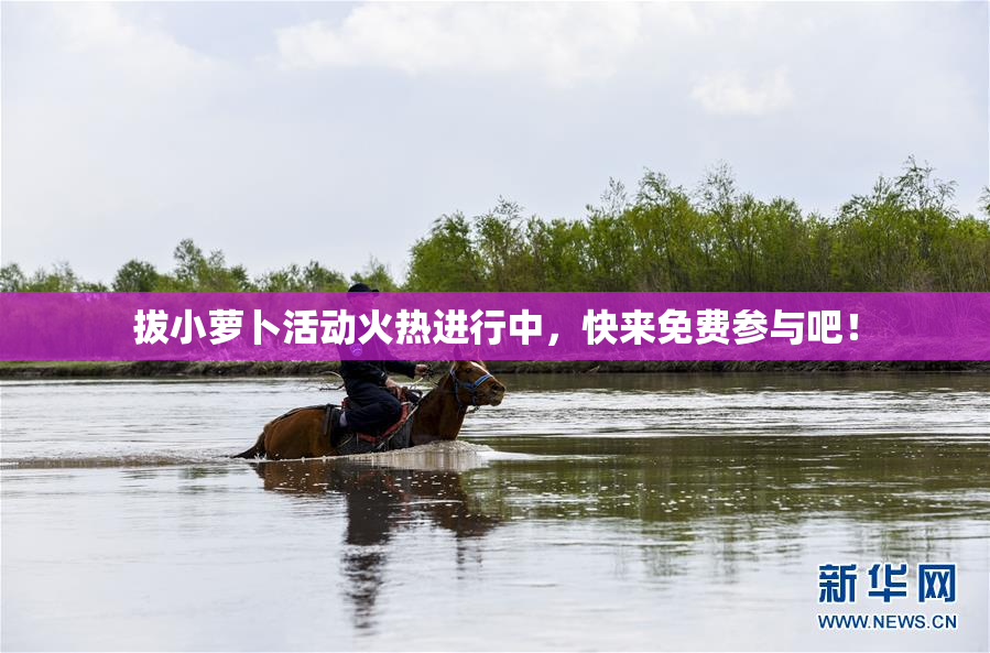拔小萝卜活动火热进行中，快来免费参与吧！