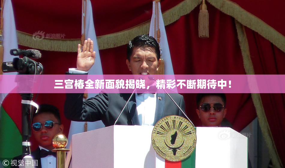 三宫椿全新面貌揭晓，精彩不断期待中！