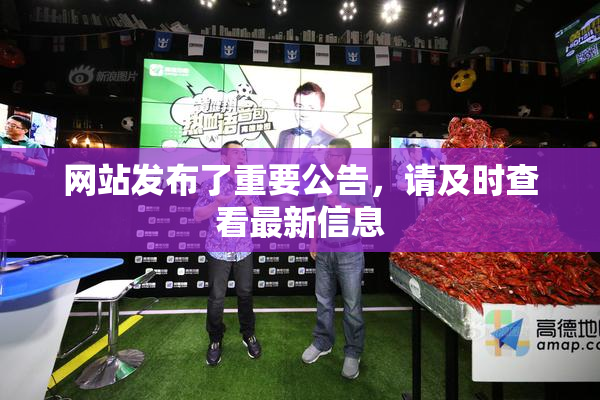 网站发布了重要公告，请及时查看最新信息