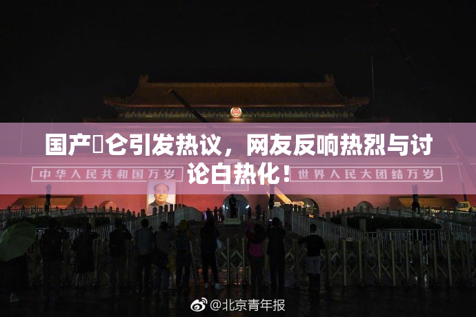 国产婬仑引发热议，网友反响热烈与讨论白热化！