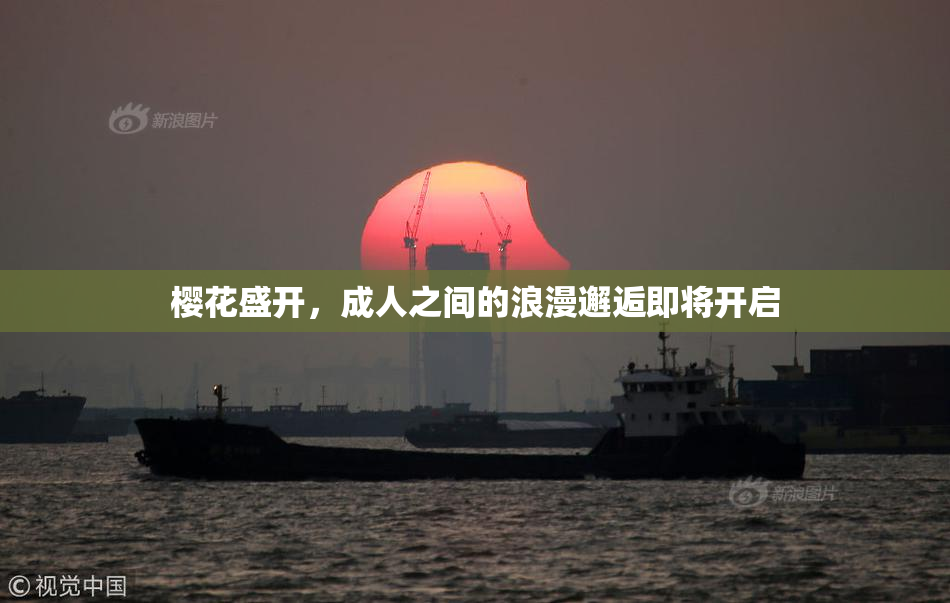 樱花盛开，成人之间的浪漫邂逅即将开启