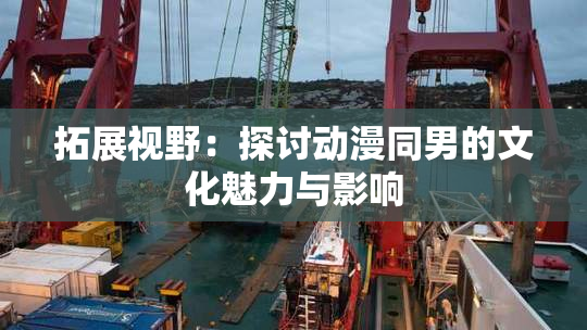 拓展视野：探讨动漫同男的文化魅力与影响
